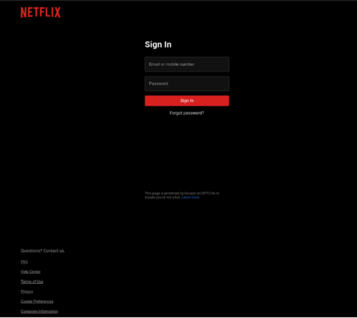 Netflix fake