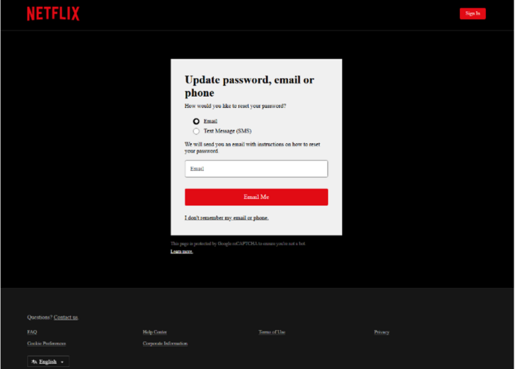 Netflix fake