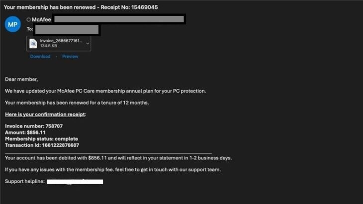 McAfee Misbrauch
